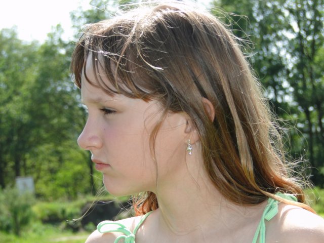 2011HWK 104.jpg